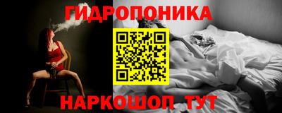 МДПВ Кингисепп