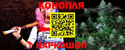 МДПВ Кингисепп