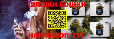 МДПВ Кингисепп