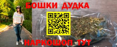 МДПВ Кингисепп