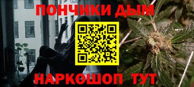МДПВ Кингисепп