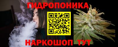 МДПВ Кингисепп