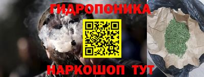 МДПВ Кингисепп