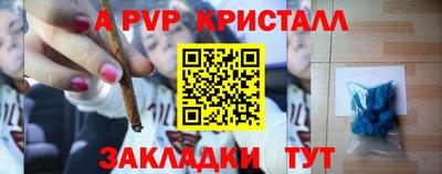 МДПВ Кингисепп