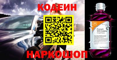 МДПВ Кингисепп
