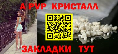 МДПВ Кингисепп